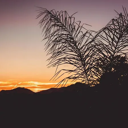 A 500m De La بيت للعطل